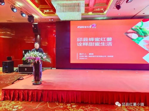 邱縣紅薯小鎮閃耀第十八屆中國國際農產品交易會，品牌農業再譜新篇